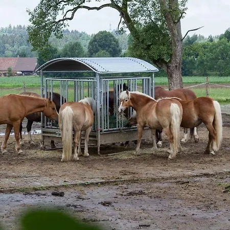 Carlo Wangen im Allgäu